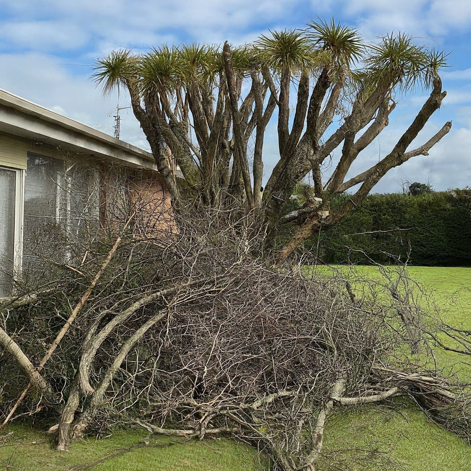 garden refuse removal Cape town