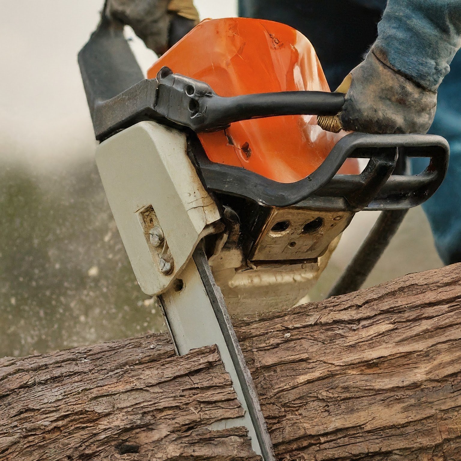 Chainsaws for tree felling in Cape town